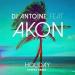 DJ Antoine feat. Akon - Holiday (рингтон)