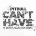 Pitbull feat. Steven A. Clark & Ape Drums - Cant Have