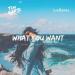 Tim Gartz & Cammora feat. Nicole Gartz - What You Want