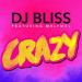 DJ Bliss feat. Melymel - Crazy