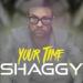 Shaggy - Your Time