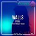 Provi feat. Hannah Young - Walls