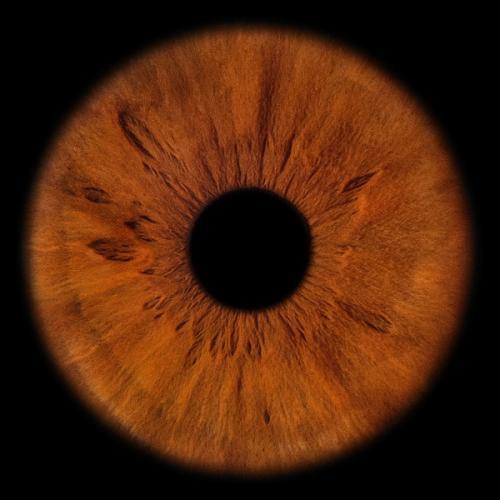 COMEBACK I «ПОДСОЗНАНИЕ»