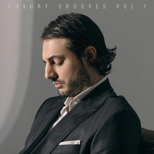 Luxury grooves vol.1