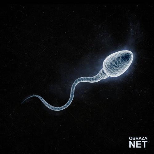 Пробуждая жизнь