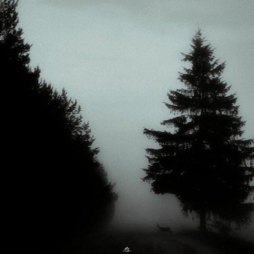 Синий туман