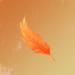 Feather