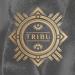 Tribu