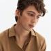 Troye Sivan