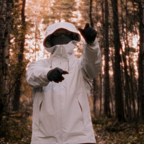 Артист Alloevera