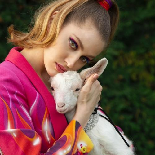Betta Lemme