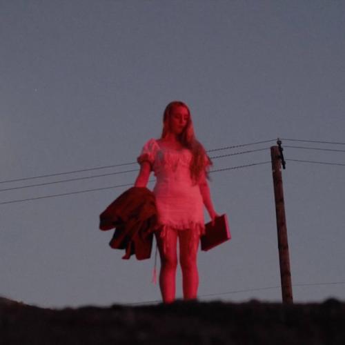 Артист Brooke Williams