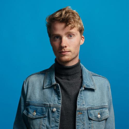 Артист Buzz Low