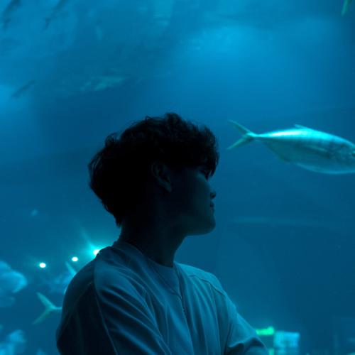 Артист Dallien