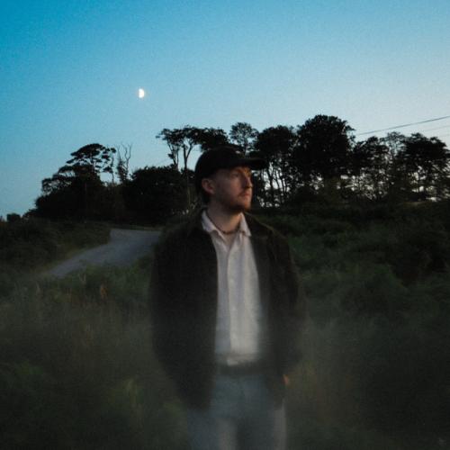 Артист Delayde