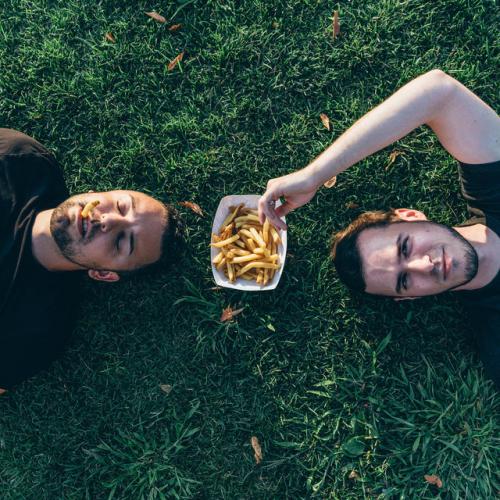 Артист Disco Fries