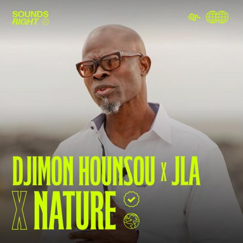Djimon Hounsou