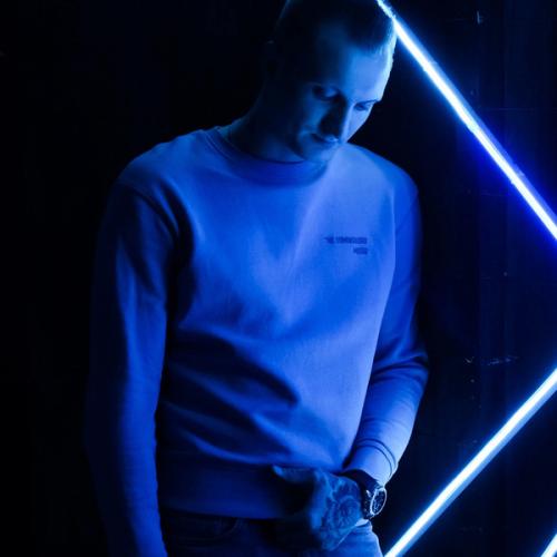 Артист Gambit 13