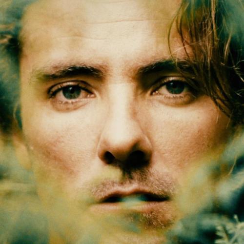 Артист Golden Chocolate