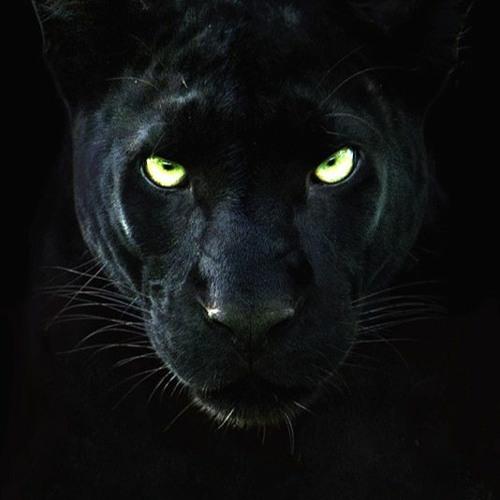 Hilaldeep