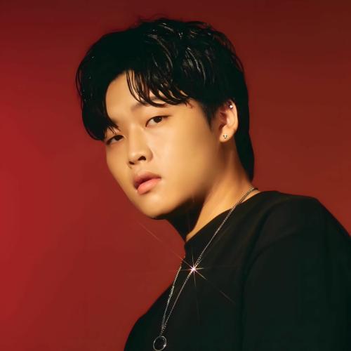 Артист Jeonghyeon