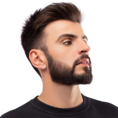 Артист Juan Alcasar