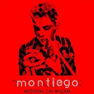 Артист Montiego