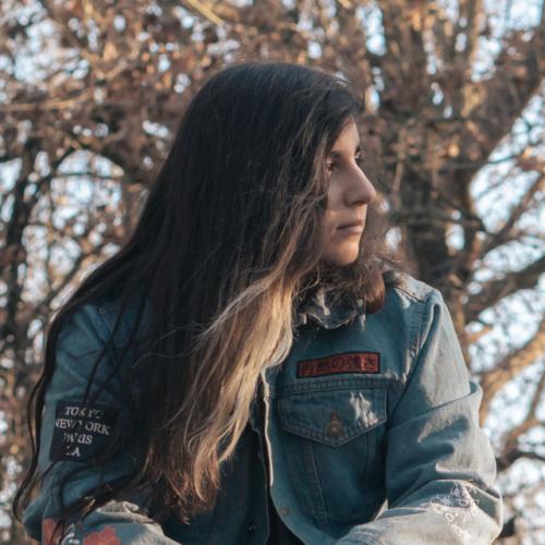 Артист Mynerva