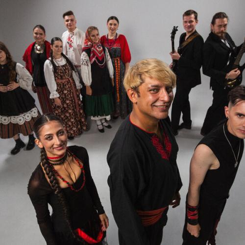 Артист Полынь Folk