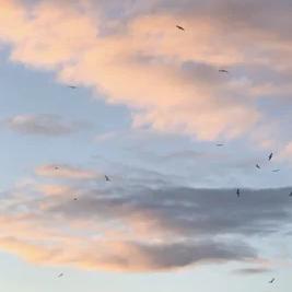 Артист RdBeats