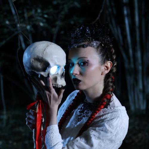 Артист Reflexie