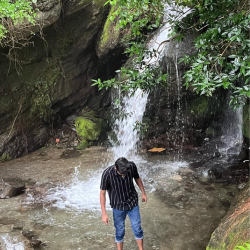 Артист Ryan Walker