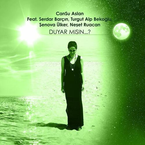 Артист Serdar Barçın