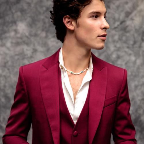 Shawn Mendes