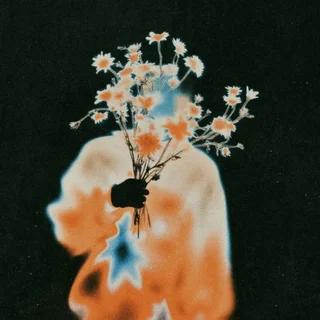 Артист Sola Mbeki