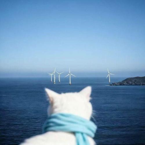 Артист speed up