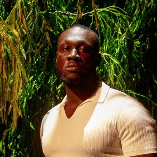Артист Stormzy