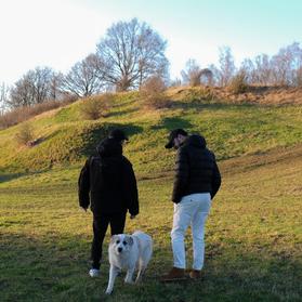 Артист Strange Minds