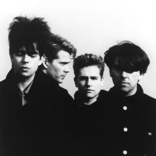 Артист The Bunnymen