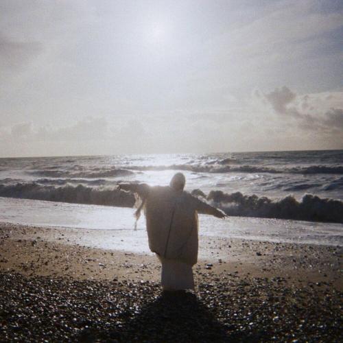 Артист timmies