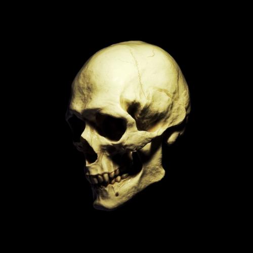 Артист TRASHXRL