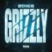 2DICE - Grizzly