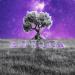 a.Ja, Turan Tish & Эфъ - Euphoria