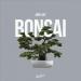 Addy Ace - Bonsai
