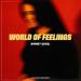 Ahmet Çeğil - World Of Feelings