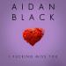 Aidan Black - I F**king Miss You