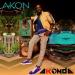 Akon feat. Afro B - Pretty Girls (feat. Afro B)