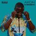 Akon feat. Becky G - Como No