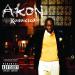 Akon - Never Took The Time