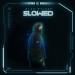 Alan Walker, K-391 & Emelie Hollow - Lily
